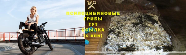 винт Богородск
