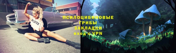 трава Богородицк