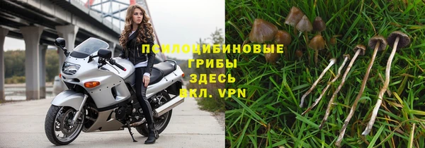 винт Богородск