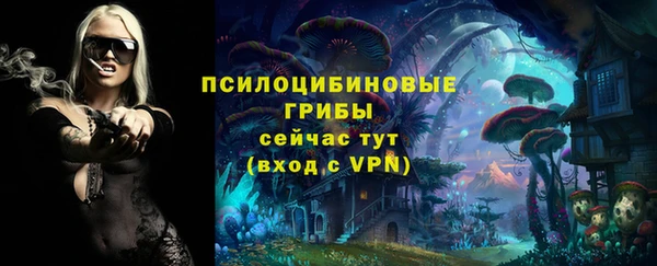 мяу мяу мука Беломорск