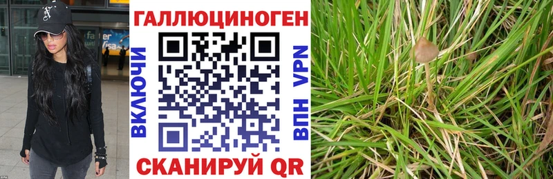 Псилоцибиновые грибы ЛСД  продажа наркотиков  Окуловка 